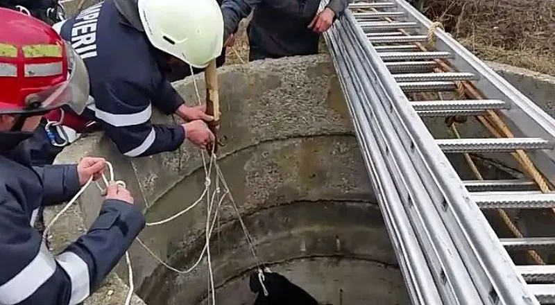 Descoperire macabră într-o fântână din Padina