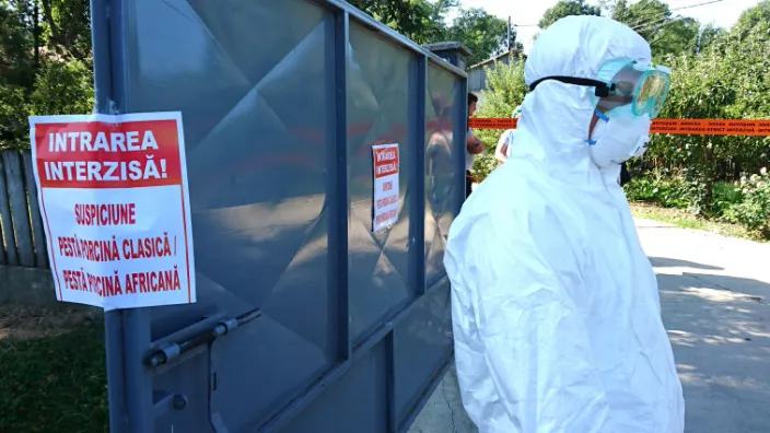 Campanie din poarta in poarta pentru prevenirea pestei porcine