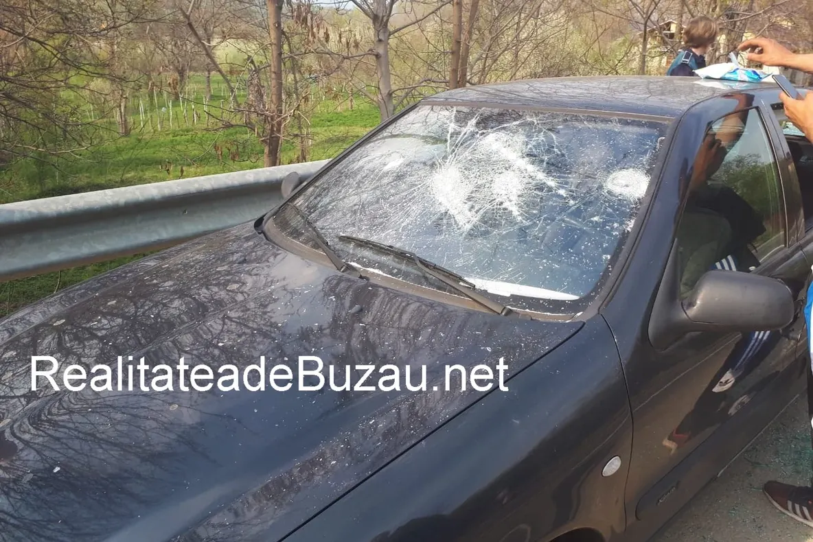 Bătaie între suporteri, la Ciuta