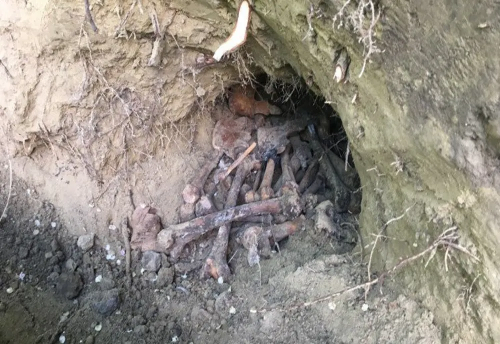Groapă cu oseminte umane descoperită în localitatea buzoiană Topliceni