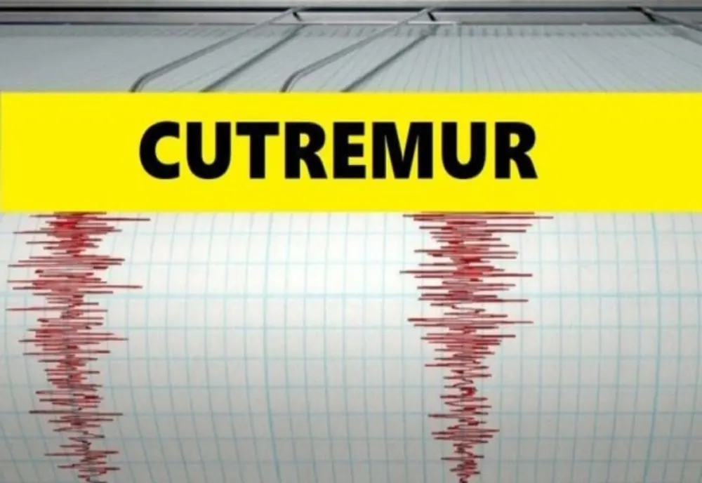 Un nou cutremur s-a înregistrat, joi dimineața, în judeţul Buzău