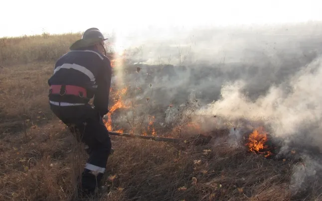 Trafic oprit pe DN2, din cauza unui incendiu de vegetație