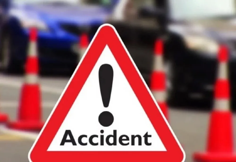 VIDEO. Ministrul Agriculturii, martor la accidentul de pe E85 - update