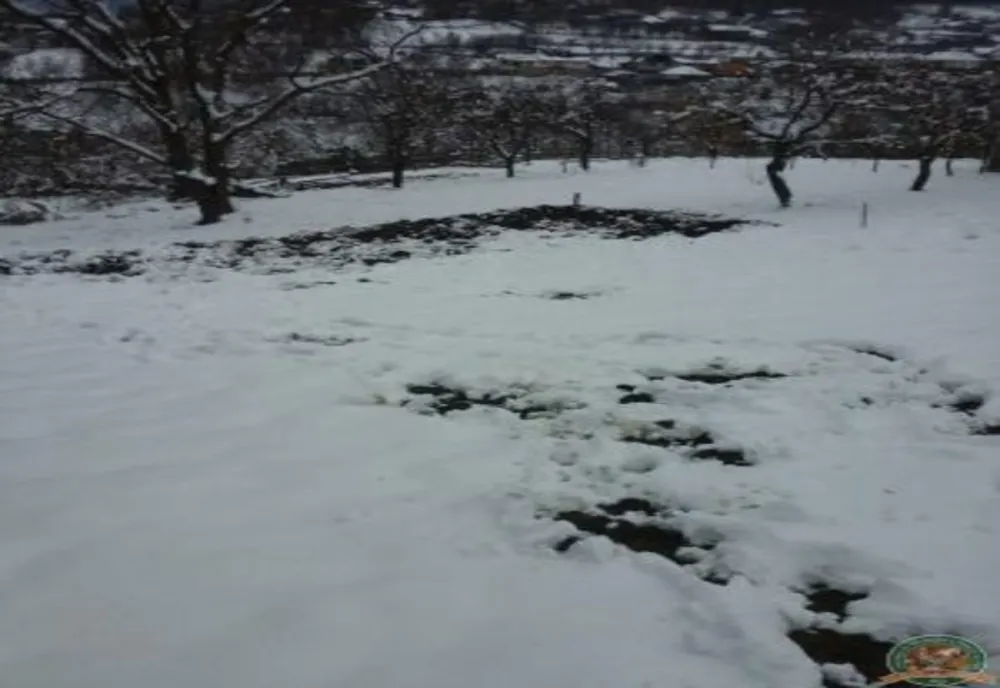 Dosar penal pentru uciderea animalelor