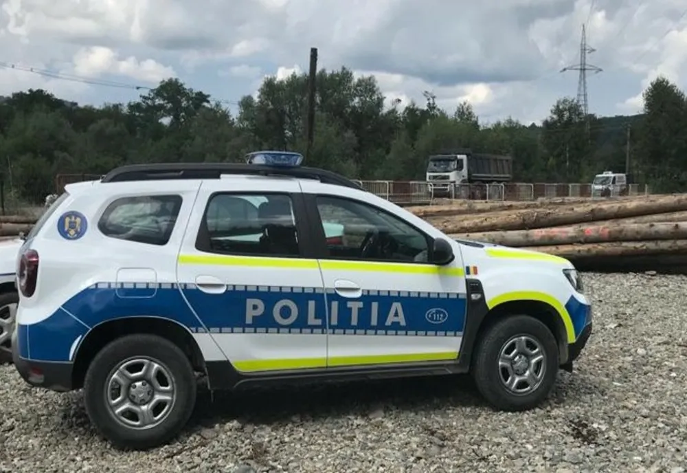 Arestați preventiv pentru tăierea şi furtul a 152 de arbori