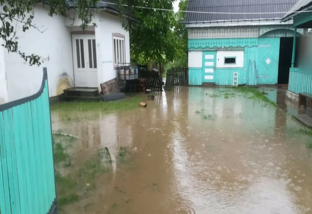 Pompierii chemați să evacueze apa din curți