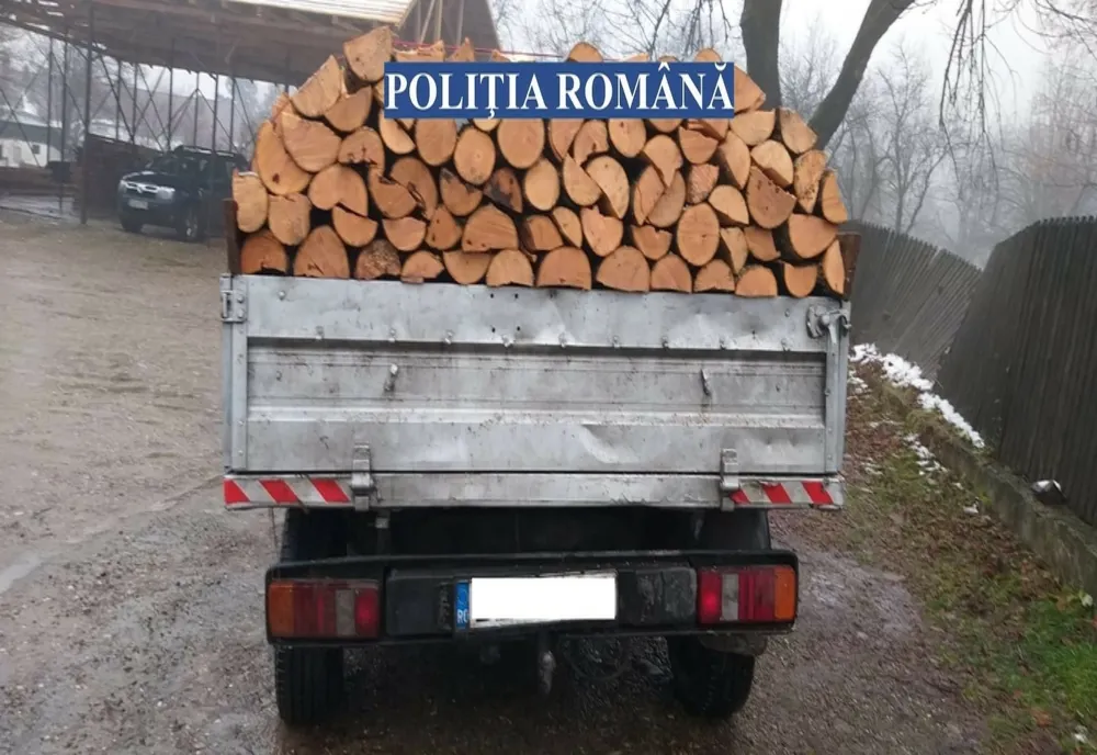 Transporturi de material lemnos fără documente legale sancţionate de poliţiştii din Beceni
