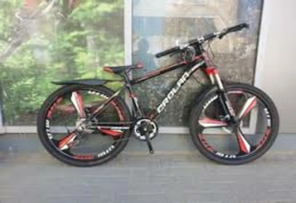 Un minor de 12 ani a furat o bicicletă lăsată neasigurată