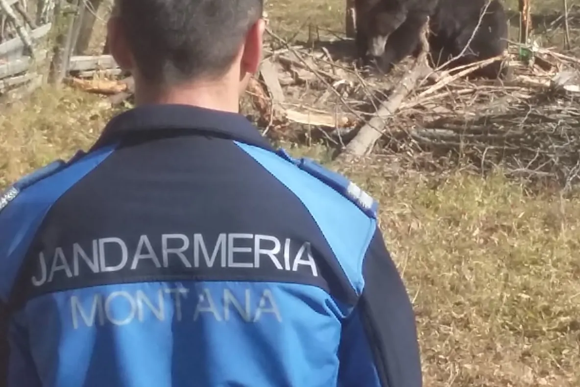 5 octombrie: 20 de ani de la înființarea Jandarmeriei Montane