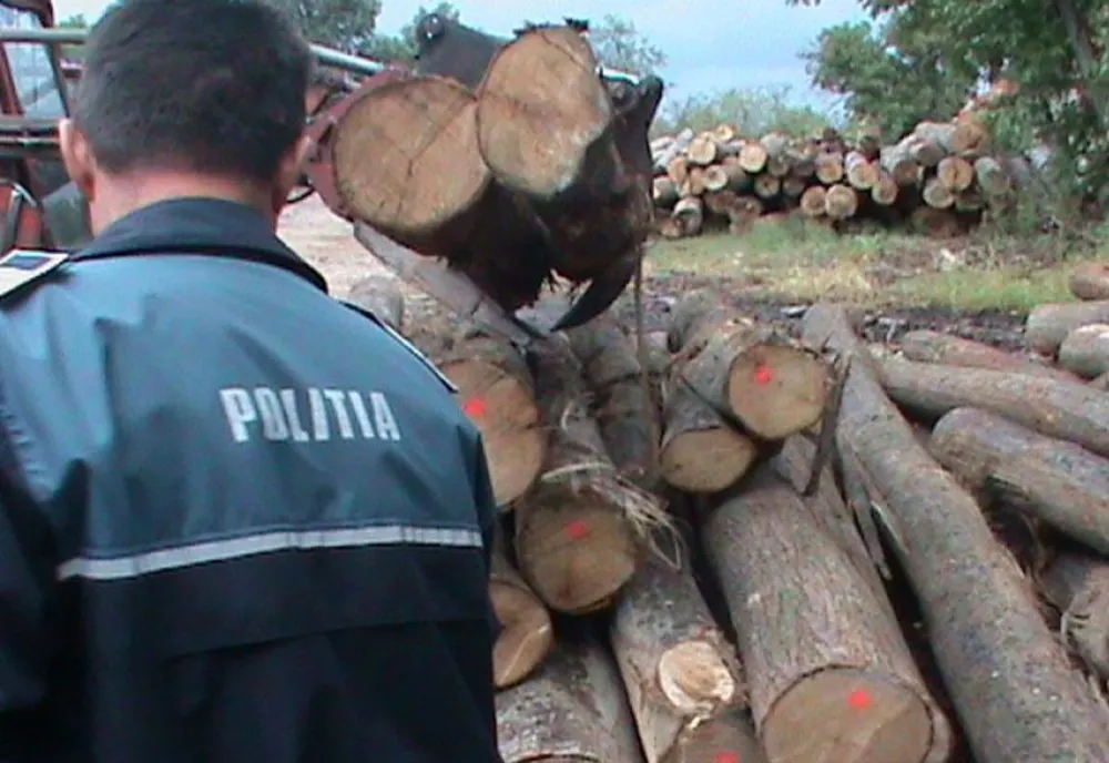 Lemn de fag confiscat de polițiști