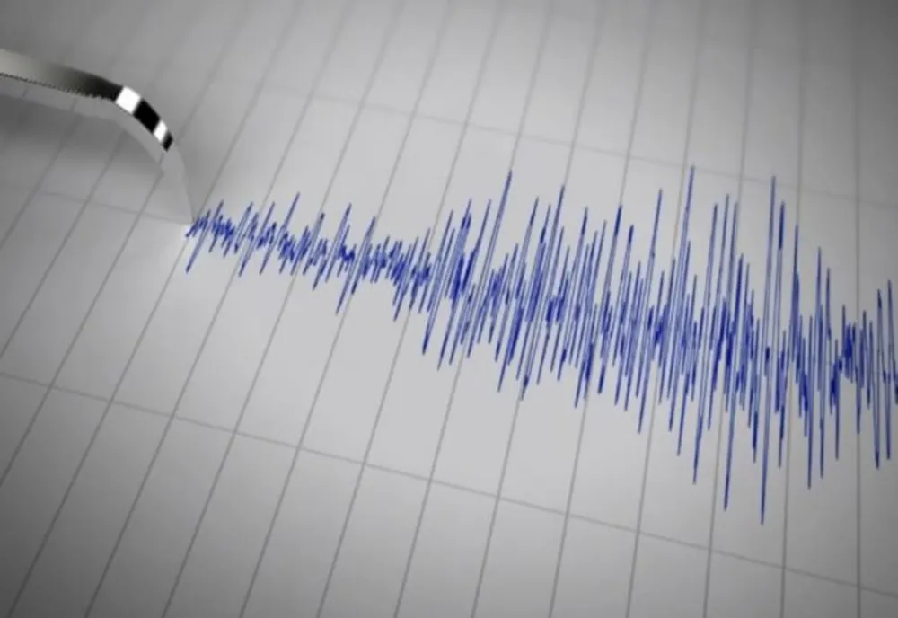 Cutremur cu magnitudinea de 3,4 grade în județul Buzău