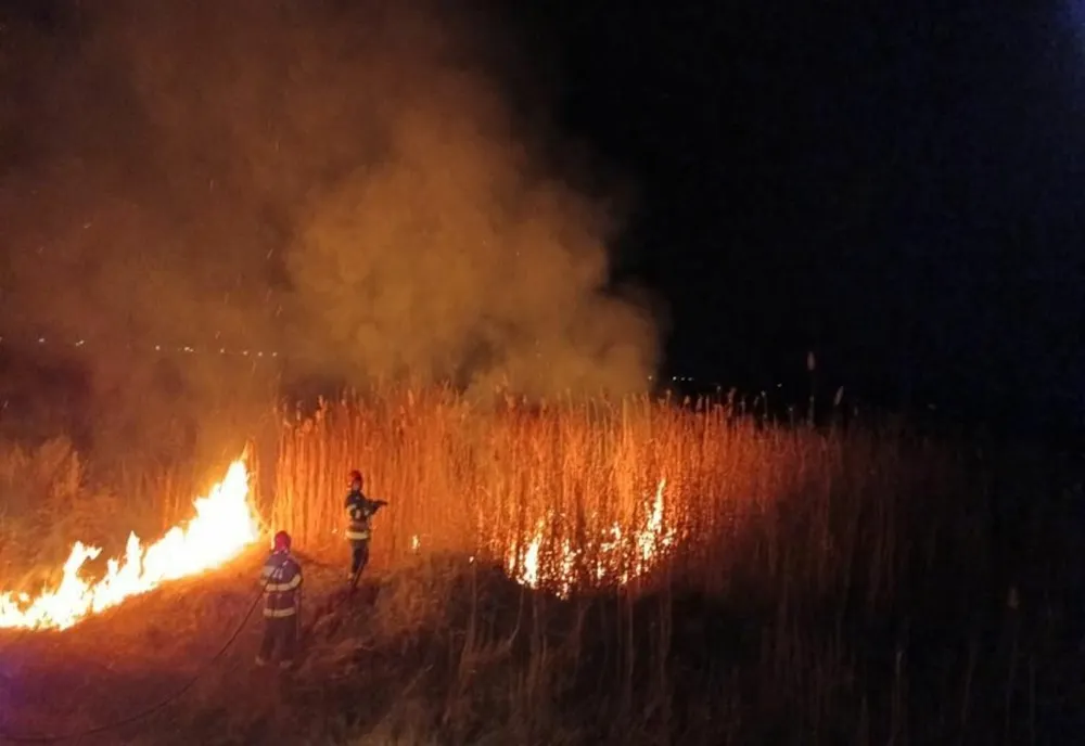 Video: Incendiu de vegetație pe raza comunei Beceni
