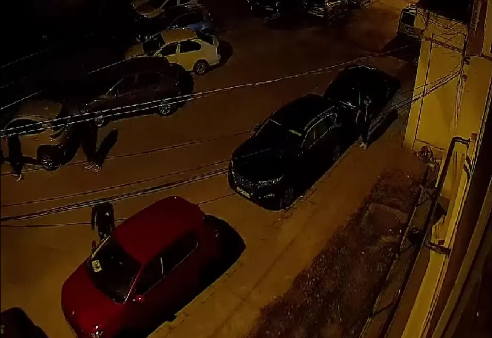 Au fost prinși cei 4 tineri care duminică dimineața încercau ușile porților și autoturismelor și loveau cutiile poștale pe străzi din municipiul Buzău