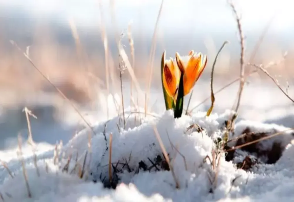 Vremea 9 februarie - Temperaturi de primăvară care ajung până la 13 grade Celsius