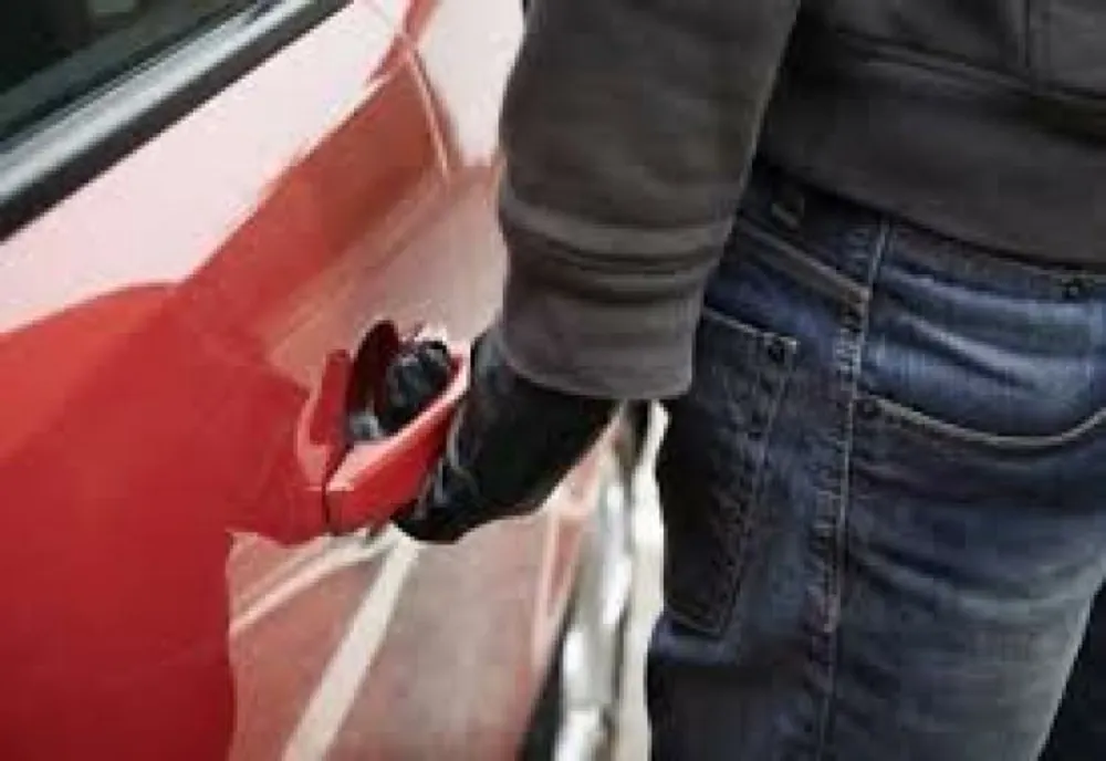 Doi tineri din Smeeni acuzați de furt dintr-un autovehicul