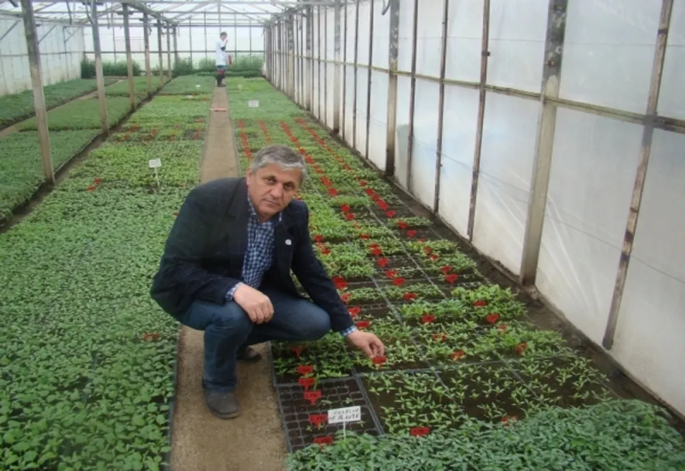 Studiu despre tomatele românești premiat la Congresul Internaţional de Horticultură de la Istanbul