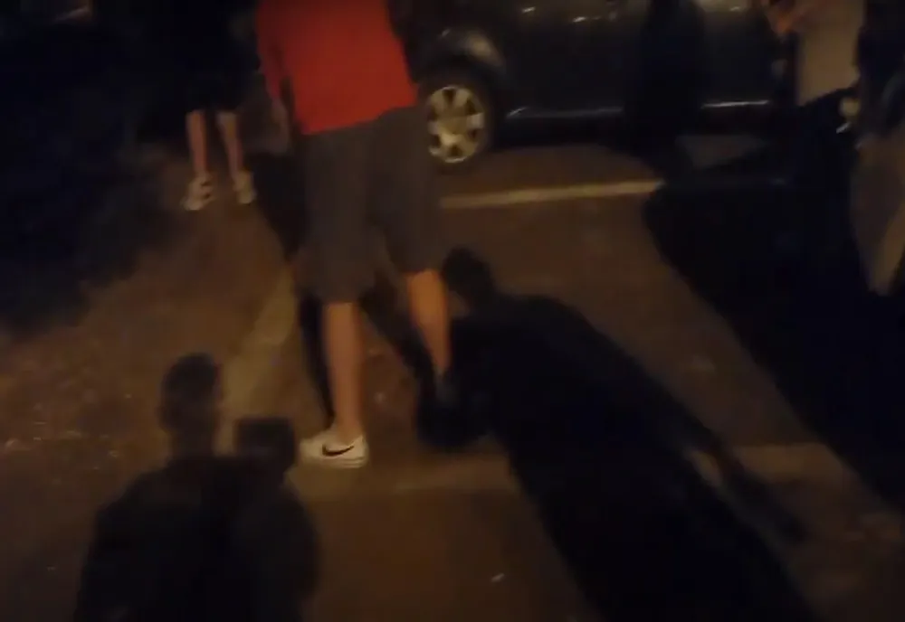 Spărgătorii de semințe au fost puși de polițiștii locali să măture acolo unde au aruncat cojile pe jos