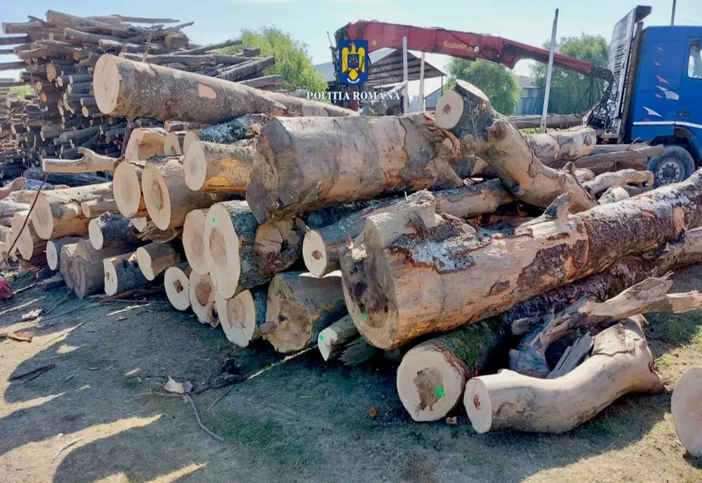 Controale la societăţile ce au ca obiect de activitate depozitarea şi comercializarea materialelor lemnoase
