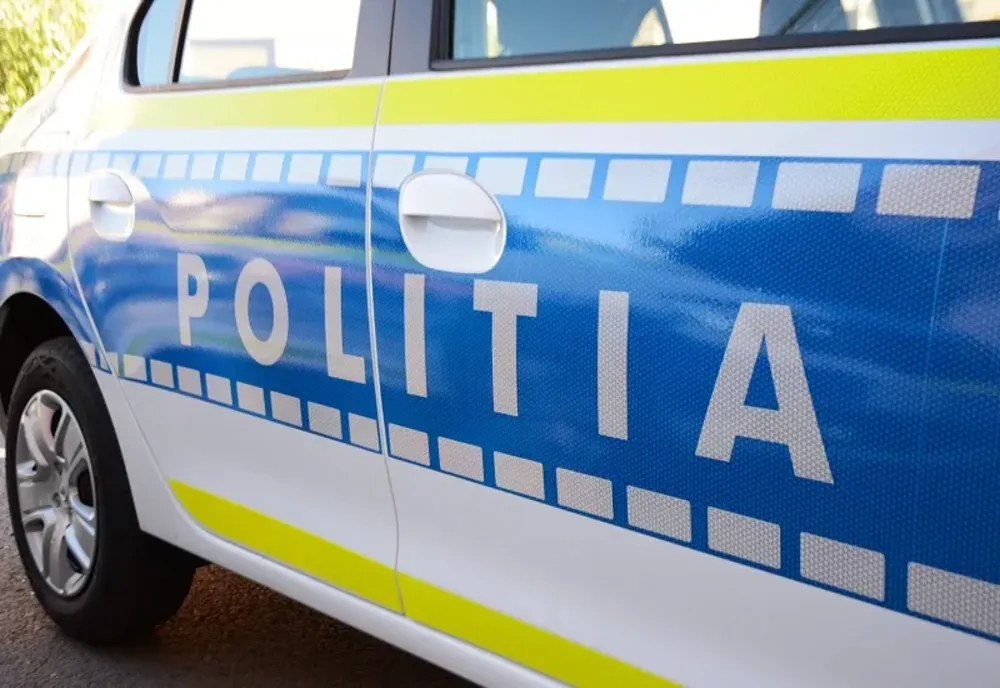 Reţinut pentru 24 de ore pentru că a fost depistat conducând o autoutilitară fără a deține permis de conducere