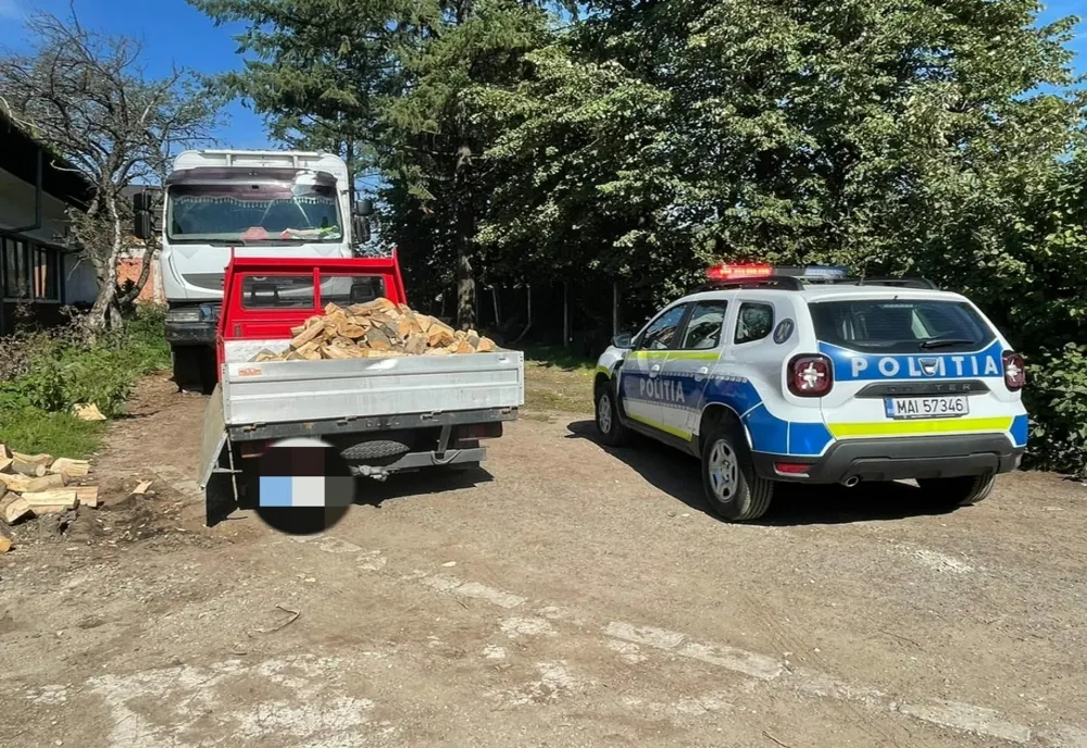 Sancționat pentru că nu deținea documente legale pentru transportarea materialului lemnos