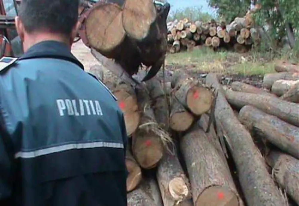 Depistați de polițiști în timp ce sustrăgeau material lemnos