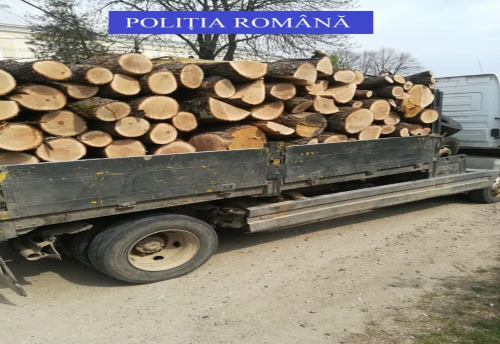 Peste 11 metri cubi de material lemnos confiscați de polițiștii posturilor de poliție Lopătari și Bisoca