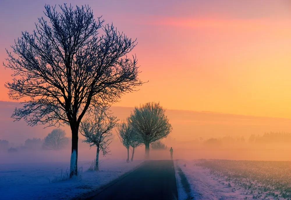 Prognoza meteo pentru patru săptămâni. Meteorologii estimează temperaturi mai ridicate decât cele normale până la jumătatea lunii februarie