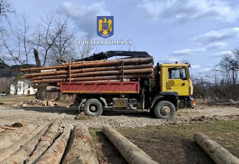 Foto: Sancționat de polițiștii buzoieni pentru transport ilegal de material lemnos