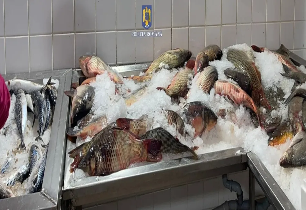 DSVSA Buzău a retras de pe piață peste 600 de kilograme de pește. Au descoperit o larvă periculoasă 