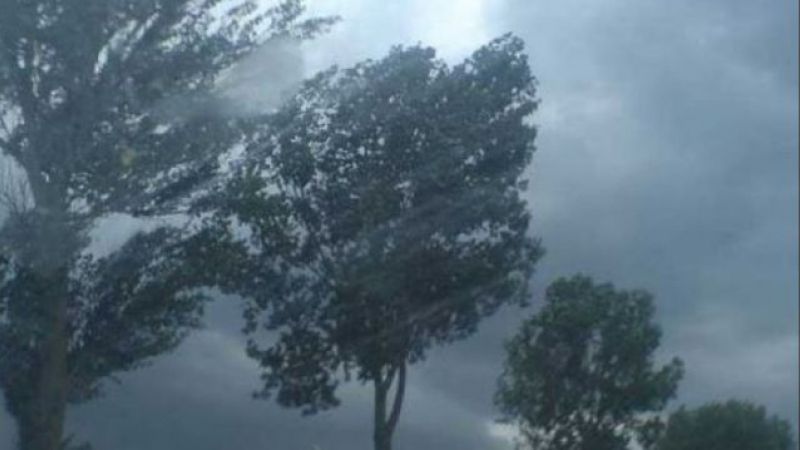 Judetul Buzau, sub cod galben de vant