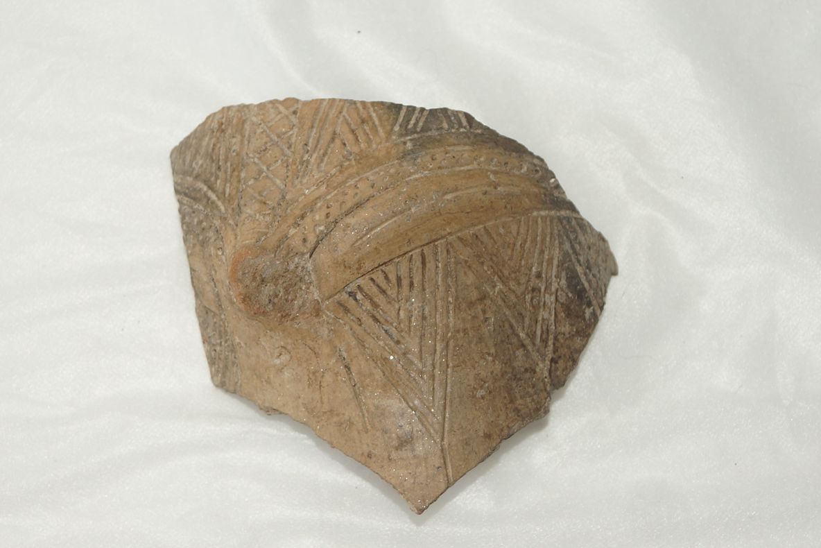 Prefecta, cu ochii pe directorii chiulangii de la Colegiul Prefectural