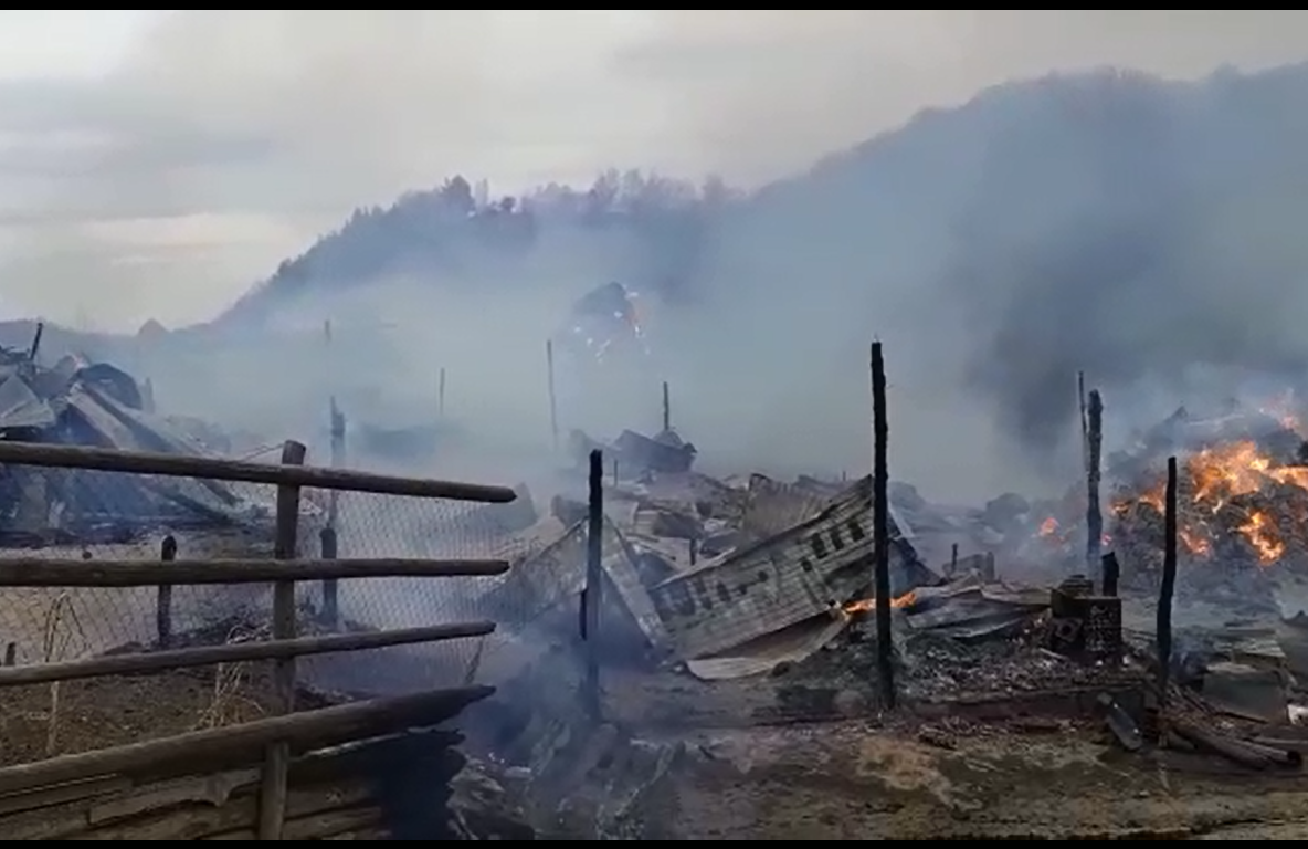 Video Sute de animale mistuite de un incendiu, la Lopătari