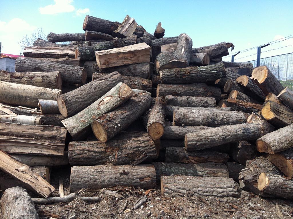 Percheziții la Râmnicu Sărat. Escroci reținuți de polițiști