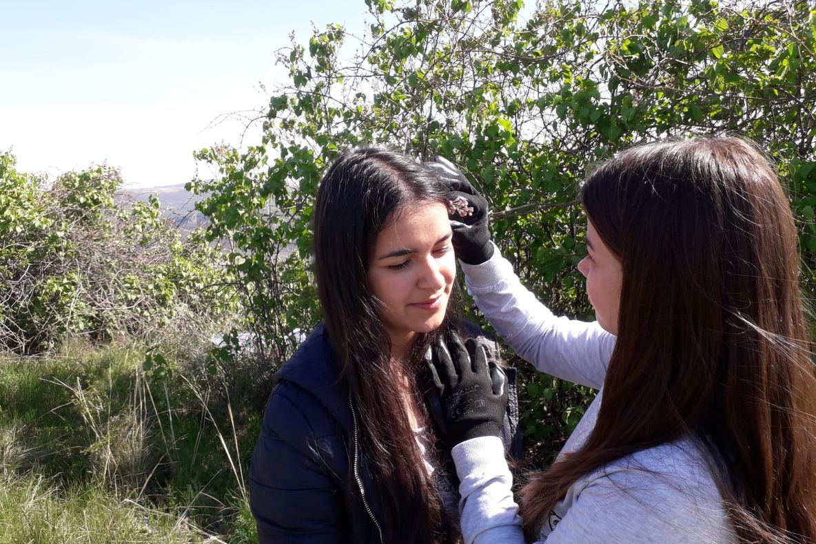 Dealul cu Lilieci, aproape de înflorire. Turiștii, invitați să se bucure de priveliște