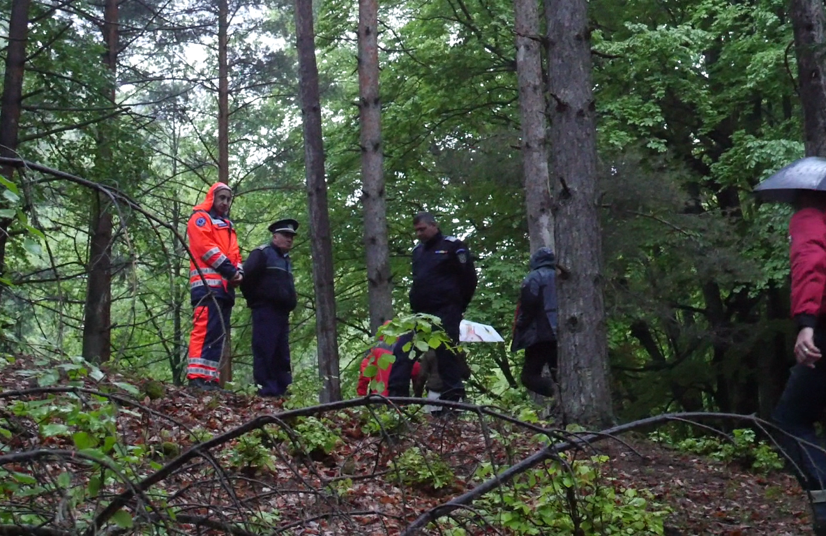Video Cauza accidentului aviatic de ieri, încă incertă