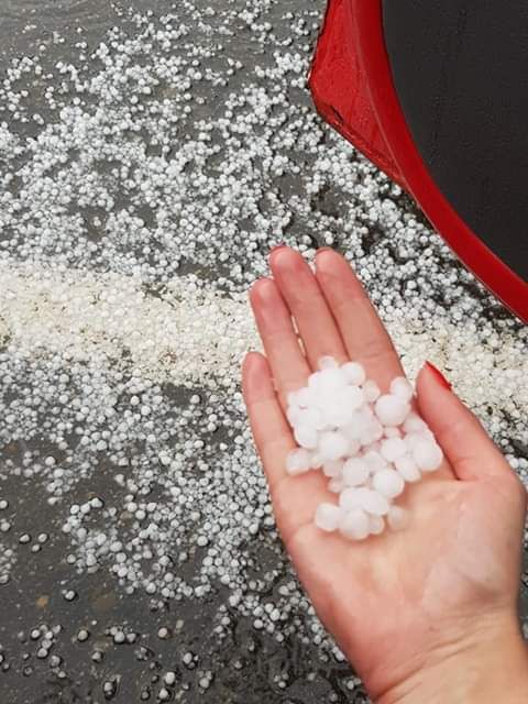 Pagube imense, în viile buzoiene, din cauza grindinei