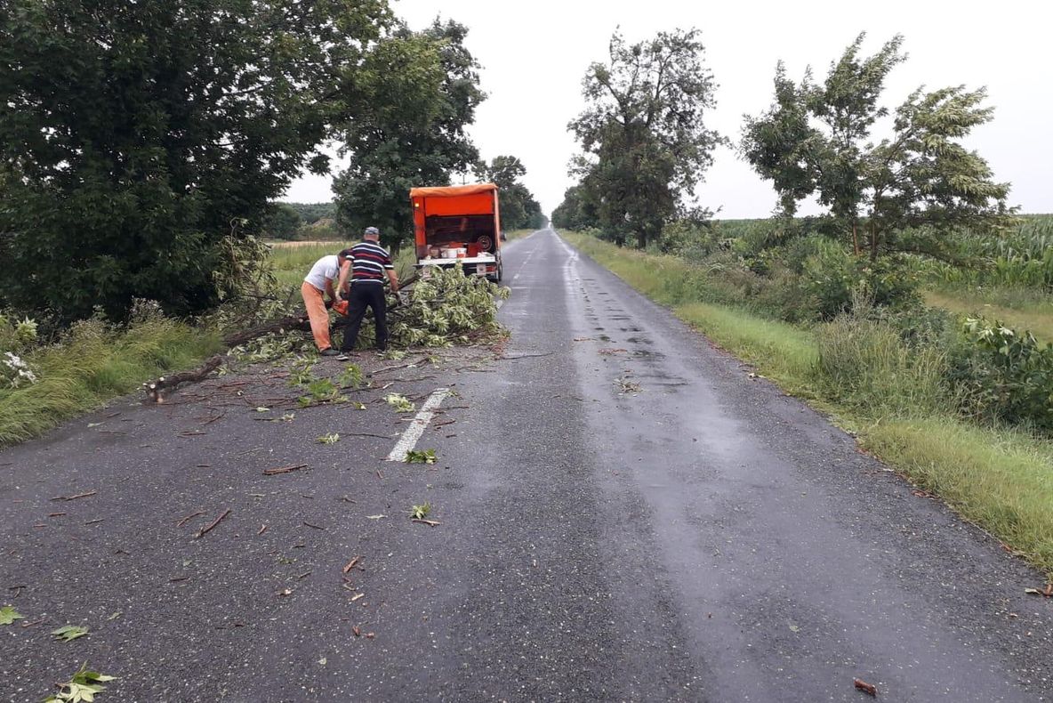 Furtuna a făcut ravagii în județul Buzău