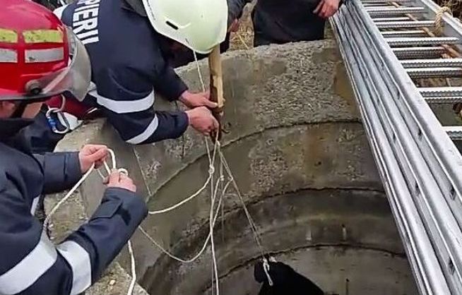 Bărbat găsit decedat, într-o fîntînă din Pîrscov