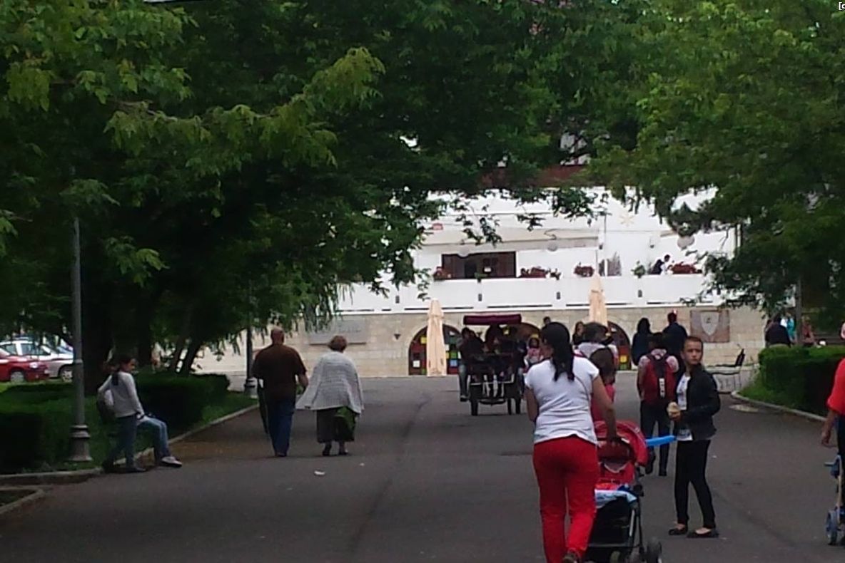 Copii sechestrați de o polițistă locală, în Crâng