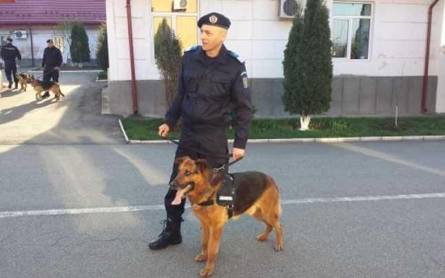 Ceremonial al Jandarmeriei, la retragerea din activitate a unui câine