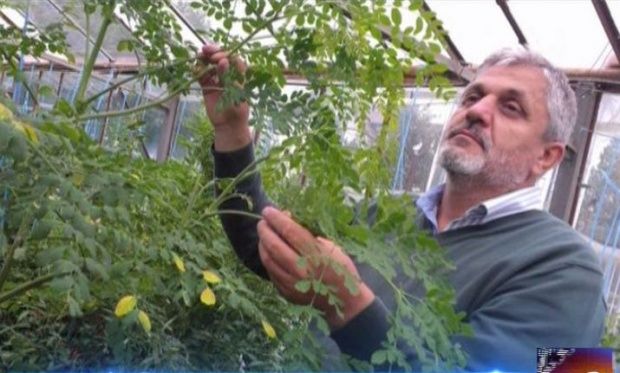 Costel Vânătoru, numit director al Băncii de gene