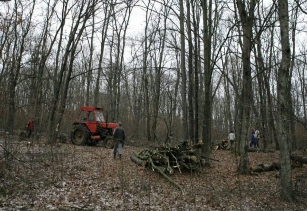 A murit strivit de utilajul cu care-și câștiga pâinea