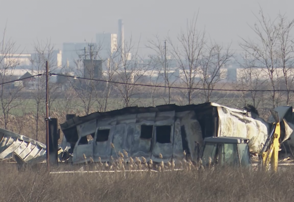 Cadavrele a mii de porci, depozitate într-o groapă comună