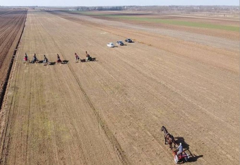 Video | "Liniuțe" cu trăsuri, la Buzău