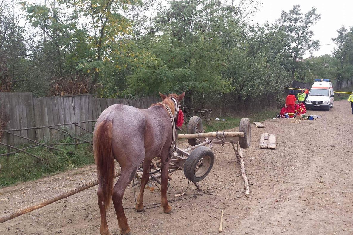 Neglijență mortală, la Vîlcelele