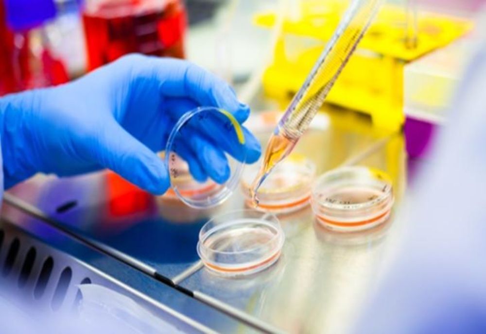 Andrei Dracea, afaceristul "licitație la minut", o nouă înșelătorie. Mărturiile famiilor păcălite cu celule stem