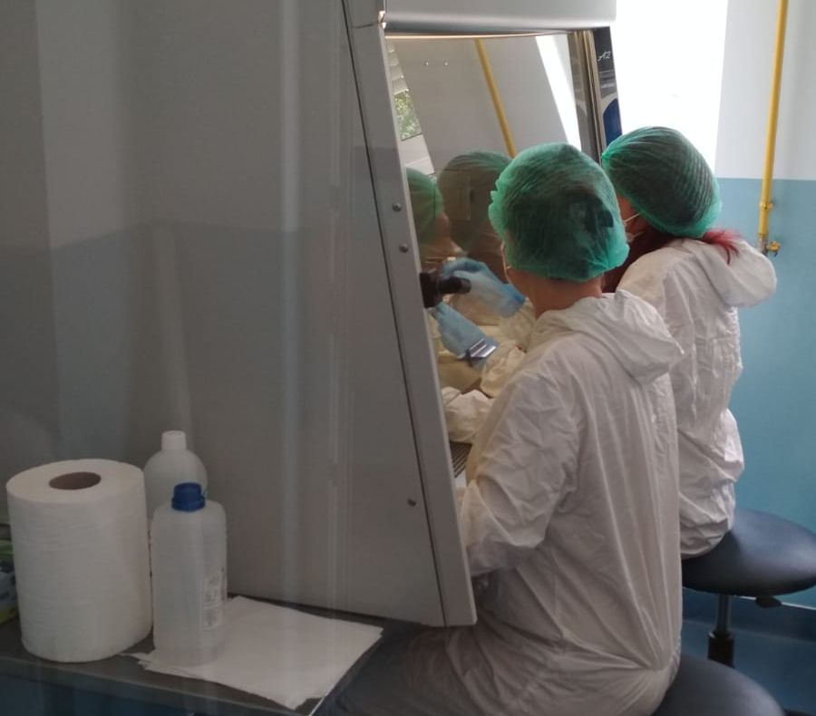 S-au epuizat kiturile pentru aparatul PCR