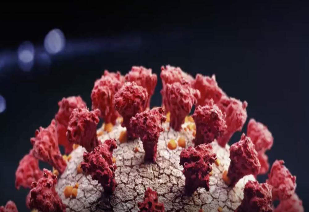 Peste 10 focare active de coronavirus în județul Buzău, cu infectări la DSP, Poliție și în centre pentru copii