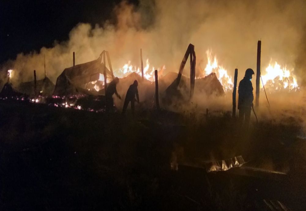 Adăpostul de animale din Costești a fost incendiat