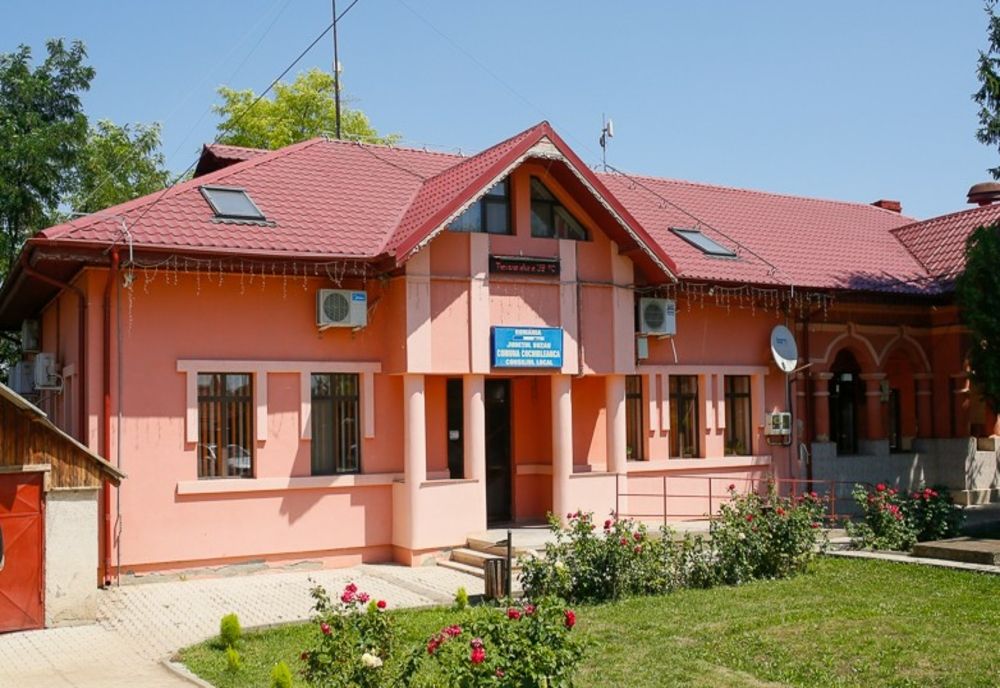 Consilier local din comuna buzoiană Cochirleanca declarat în conflict de interese